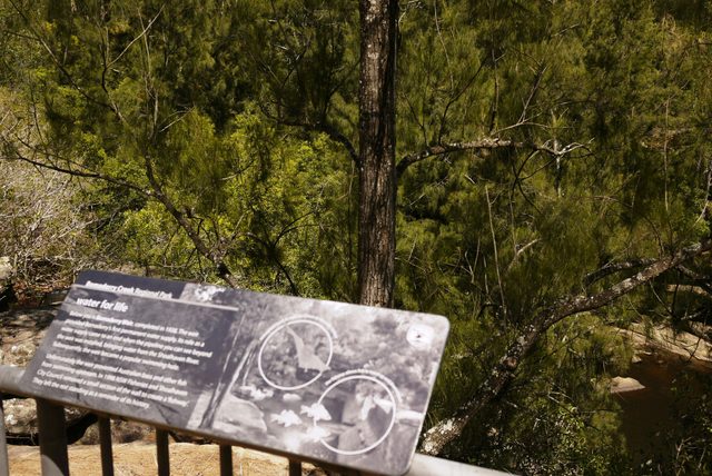 Bomaderry Creek Walking Track