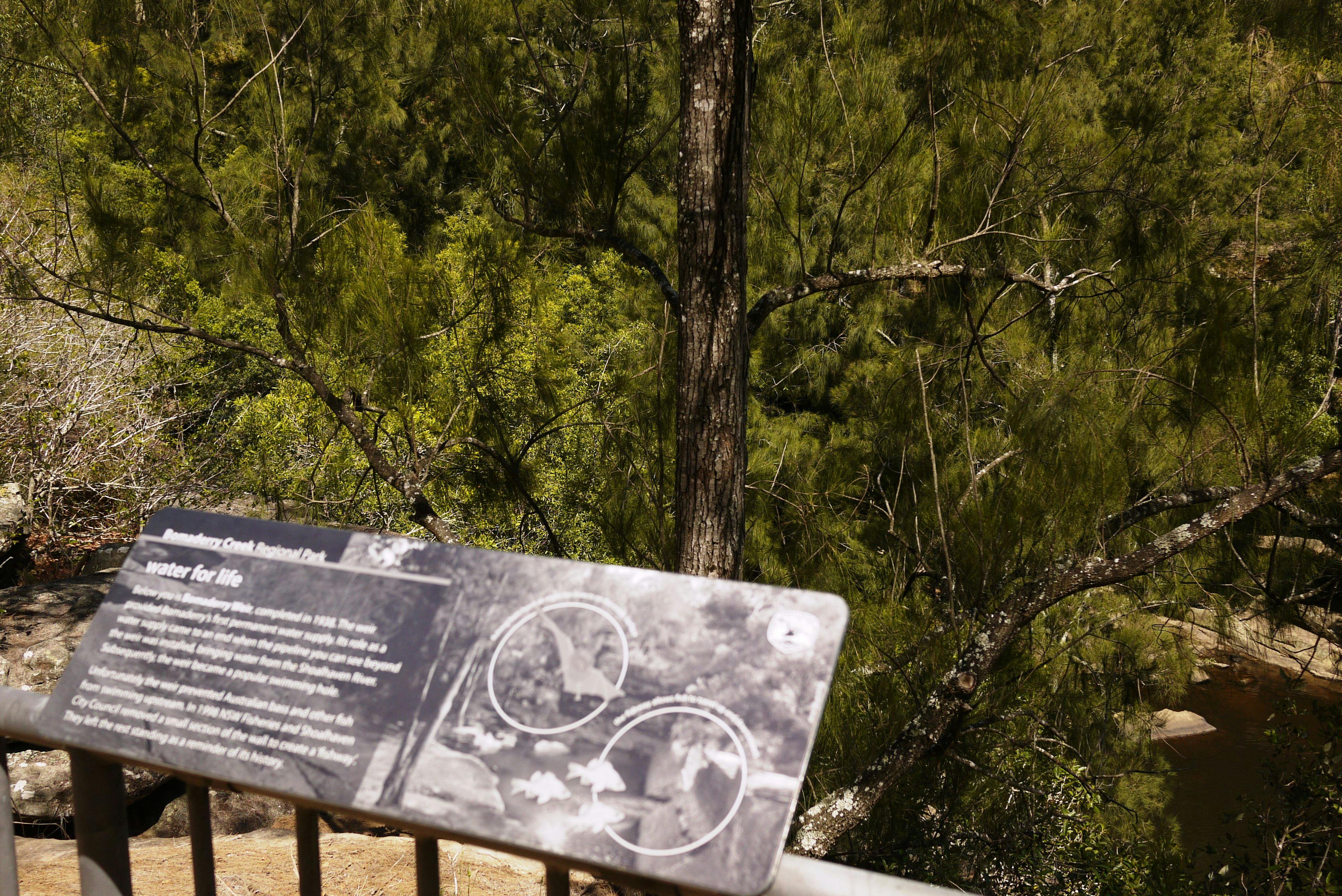 Bomaderry Creek Walk NPWS Discovery Tour