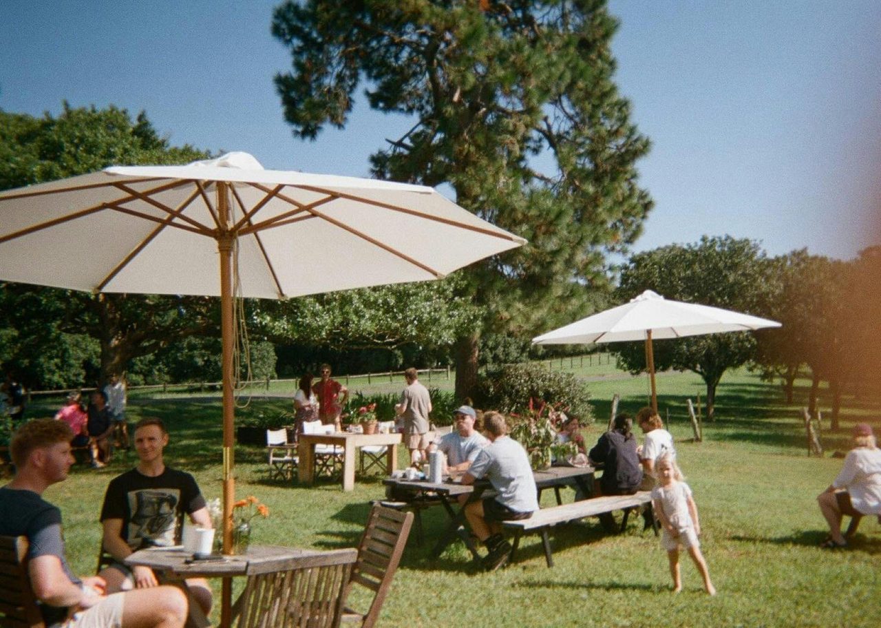 Prairie field  dining
