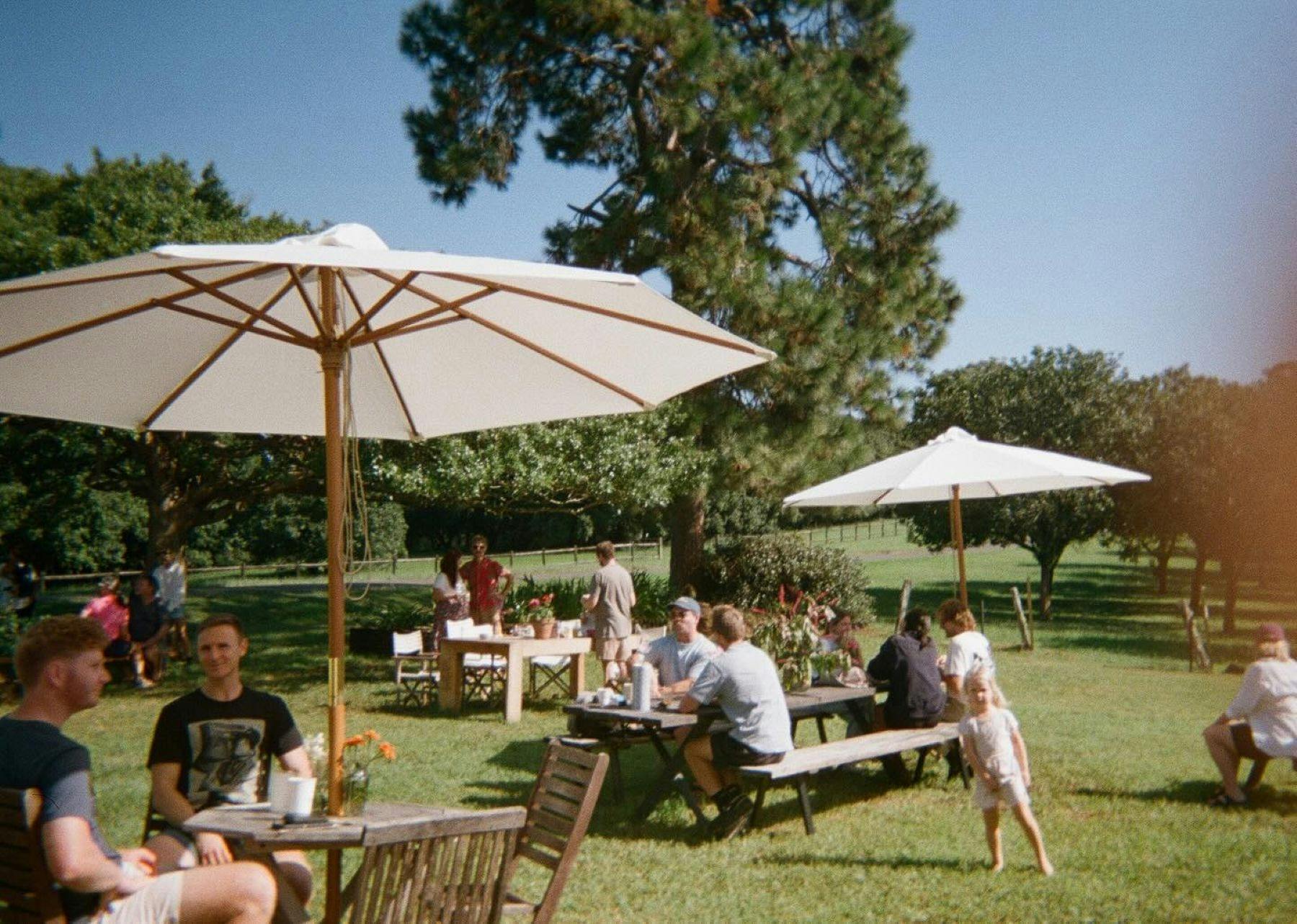 Prairie field  dining