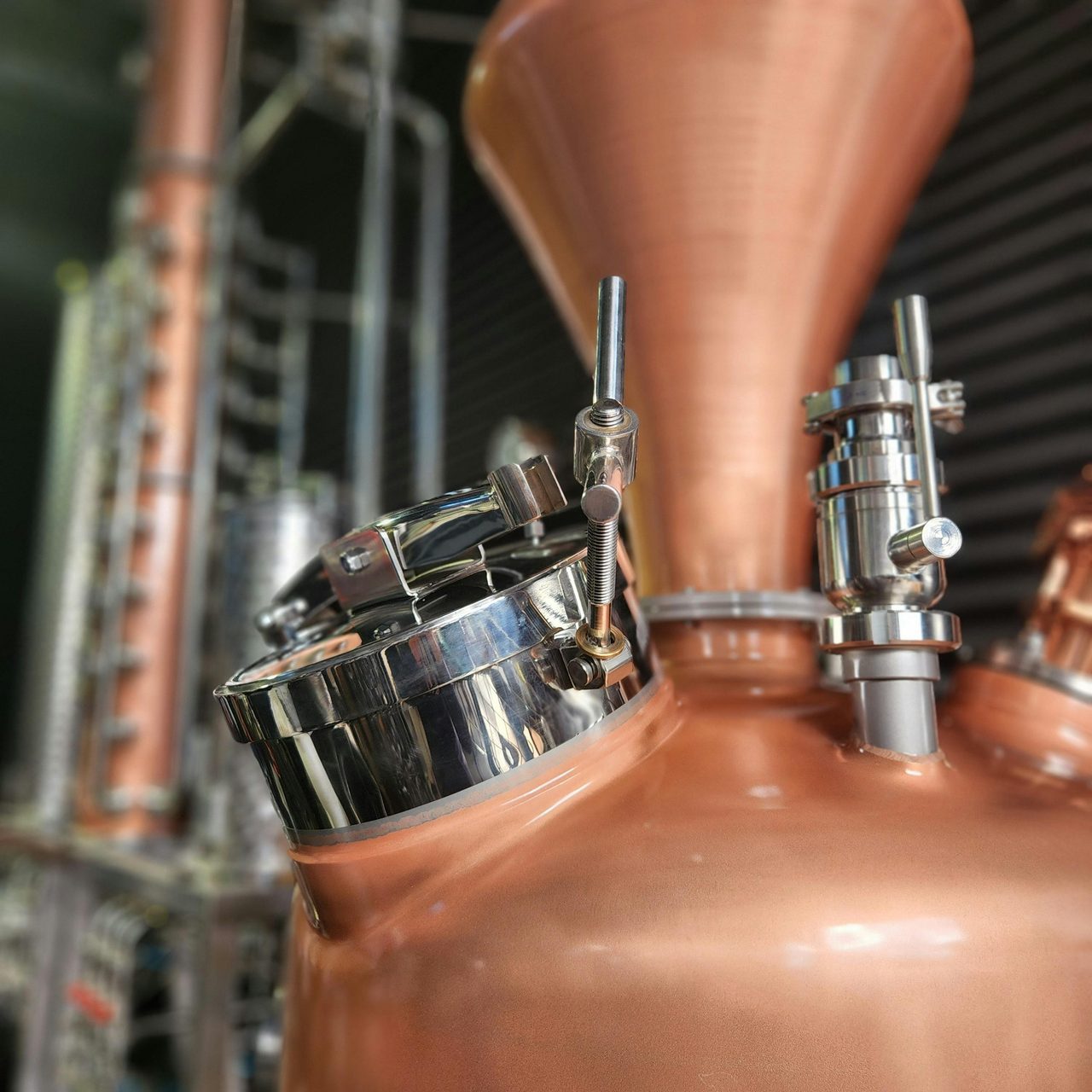 Old Salt Still