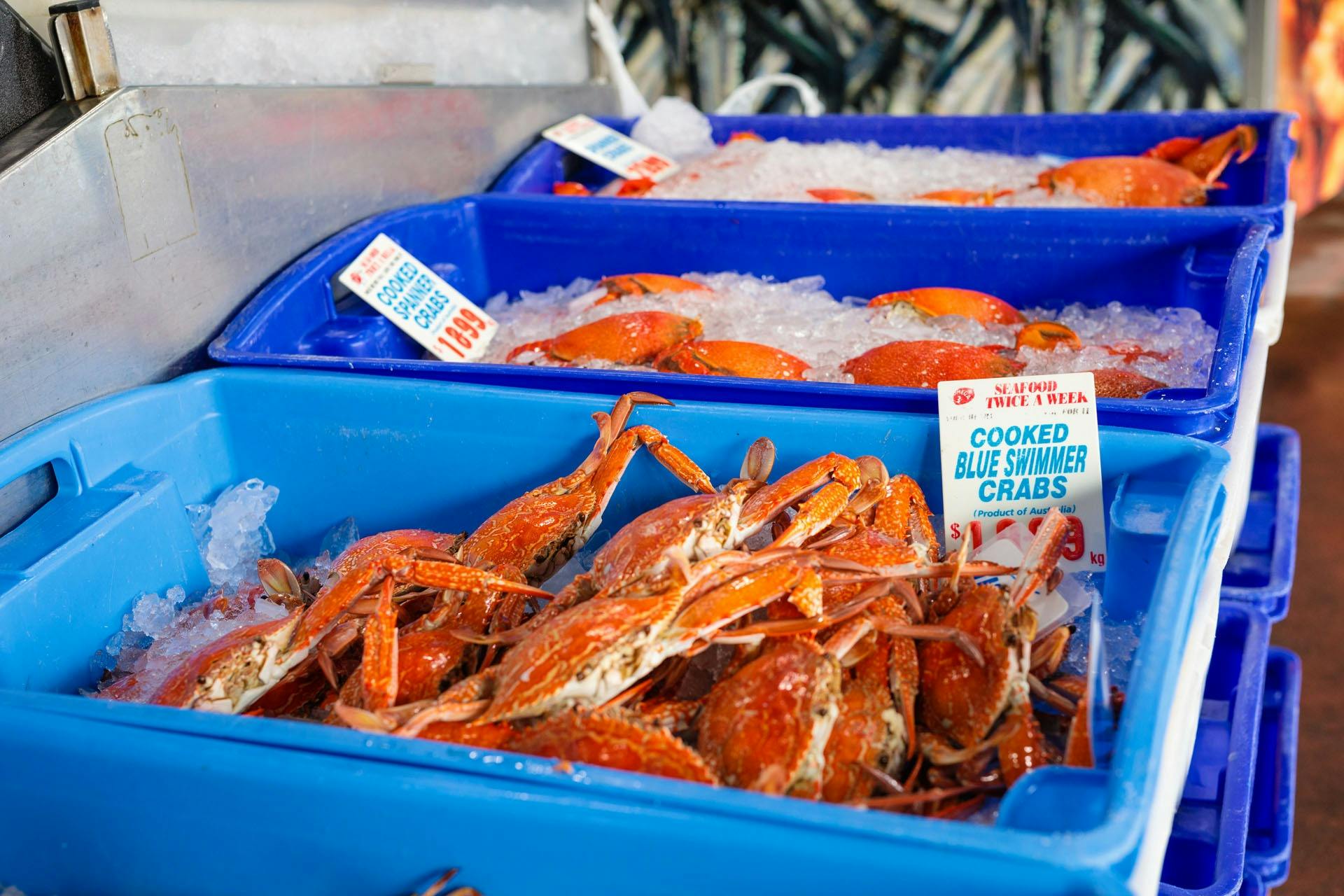 Northern Rivers Seafood