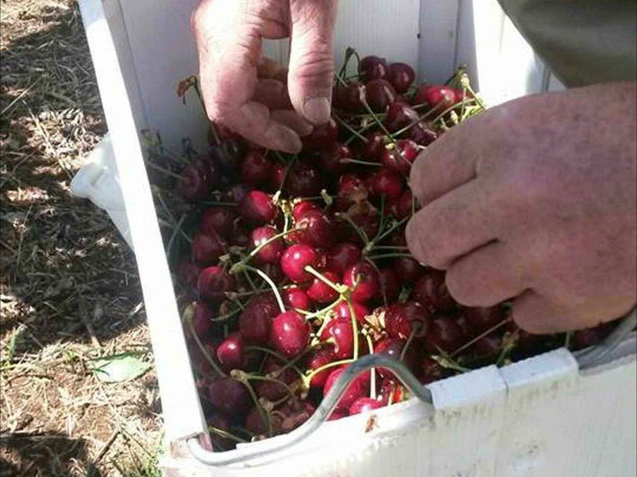 Mouat's Farm