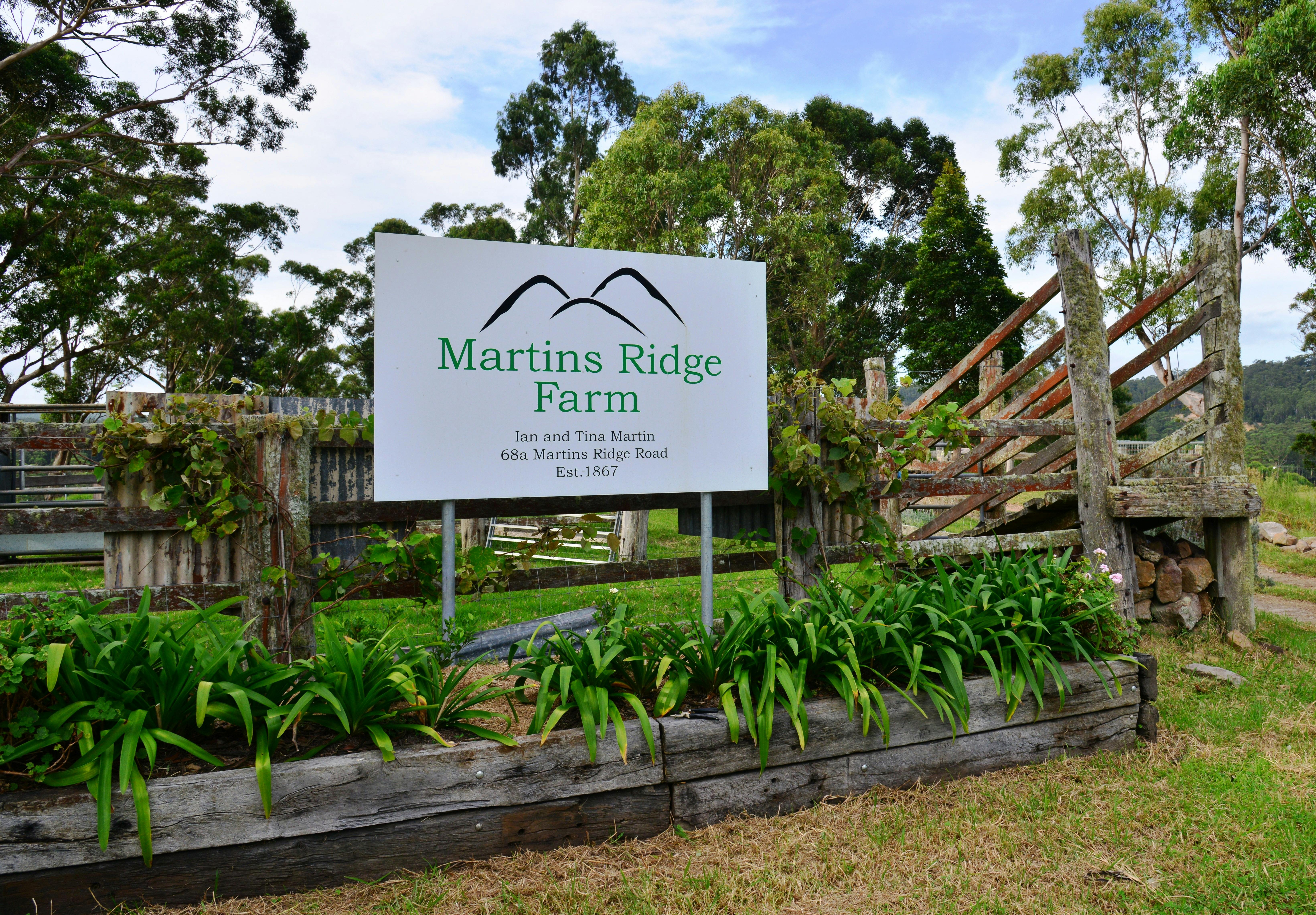 Welcome to Martins Ridge Farm