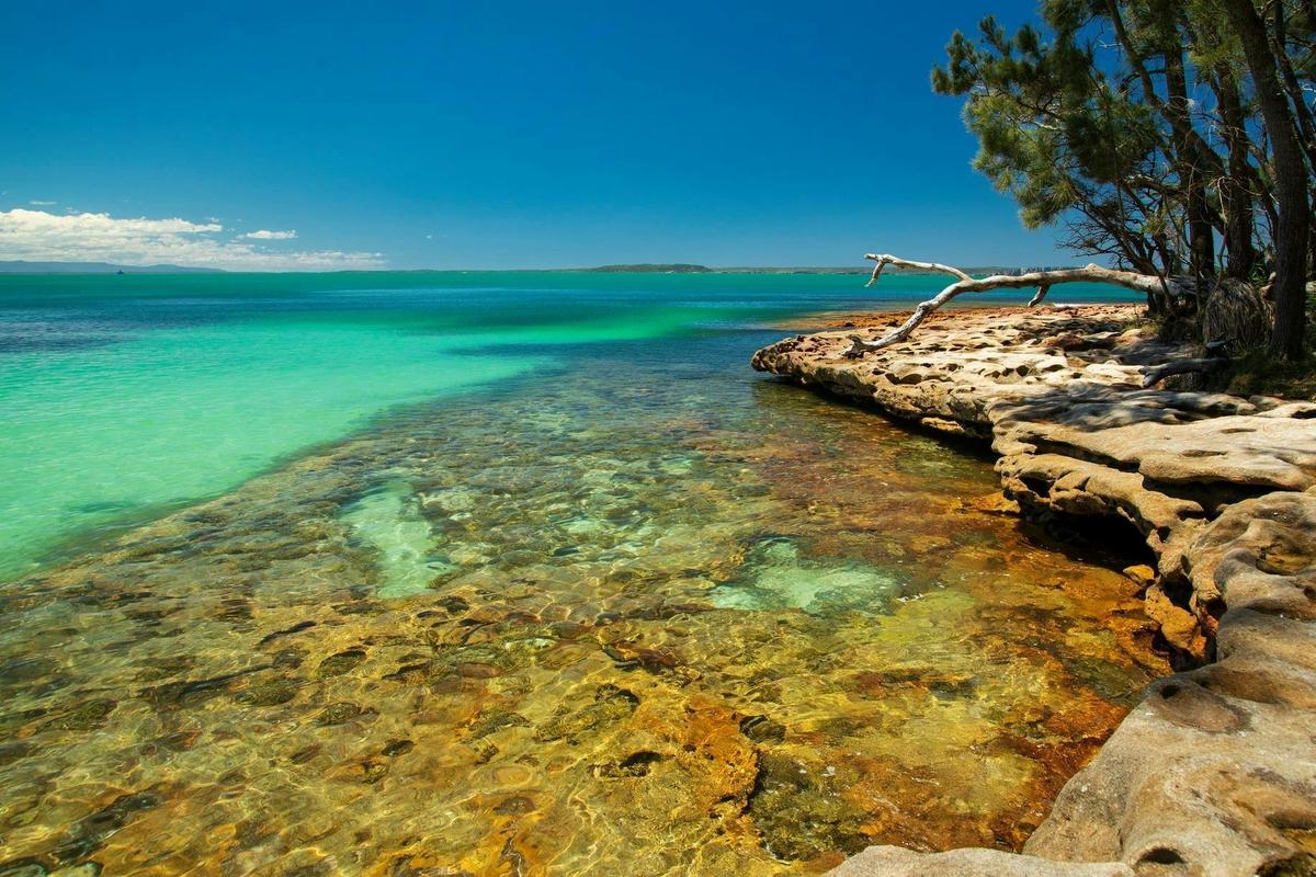 Bristol Point Rock Shelf