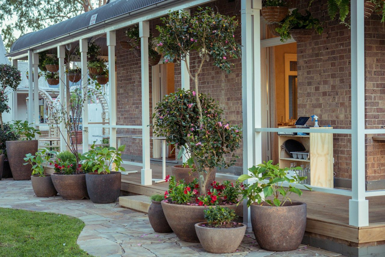 Garden plants around Percy Plunkett
