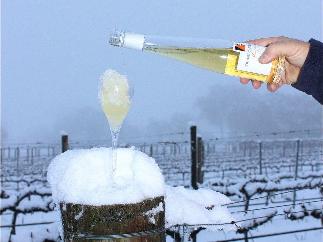 Ice on Ice!