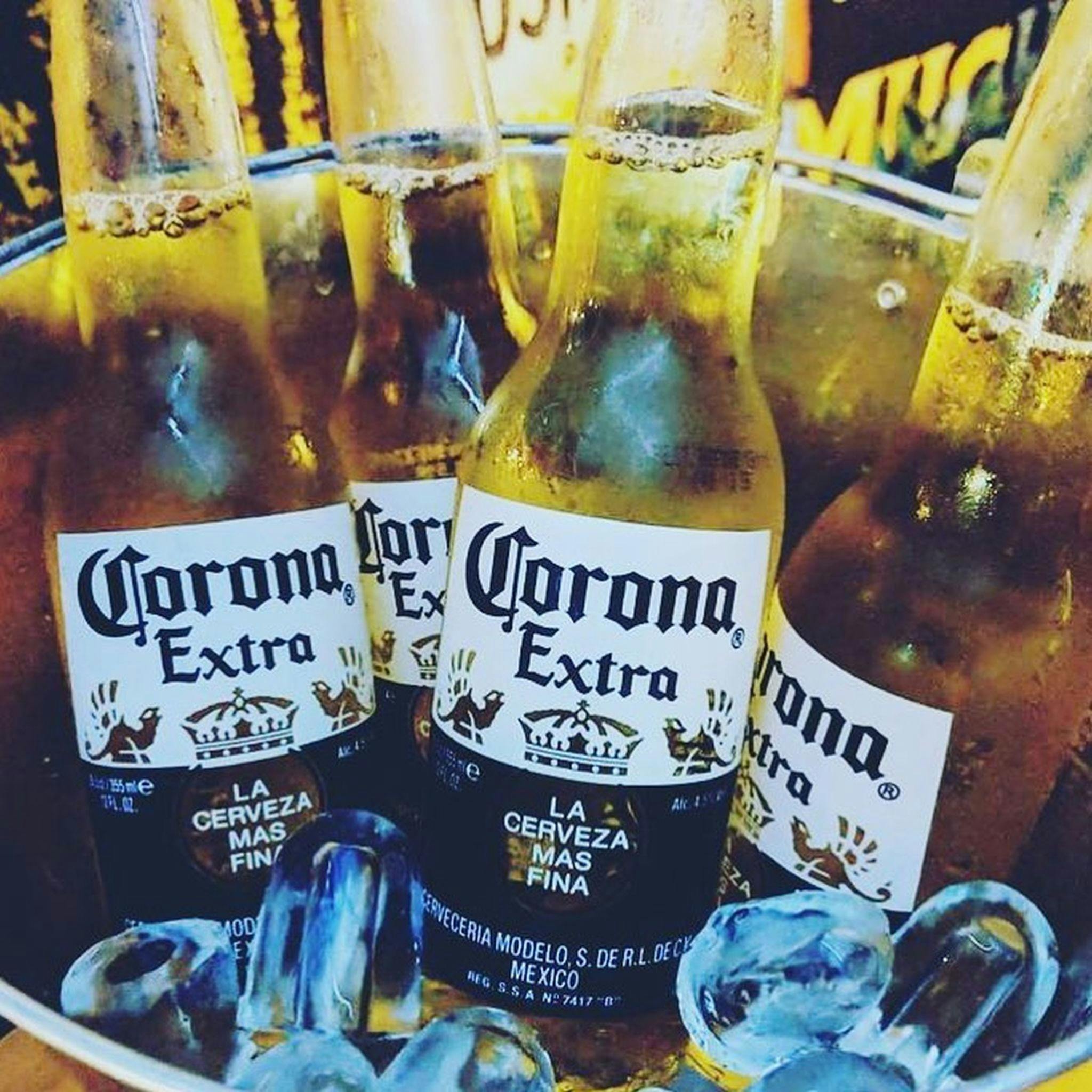 Muchos Mexican Maitland