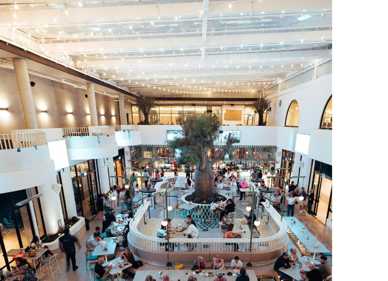 Atrium dining with bottle tree in the centre