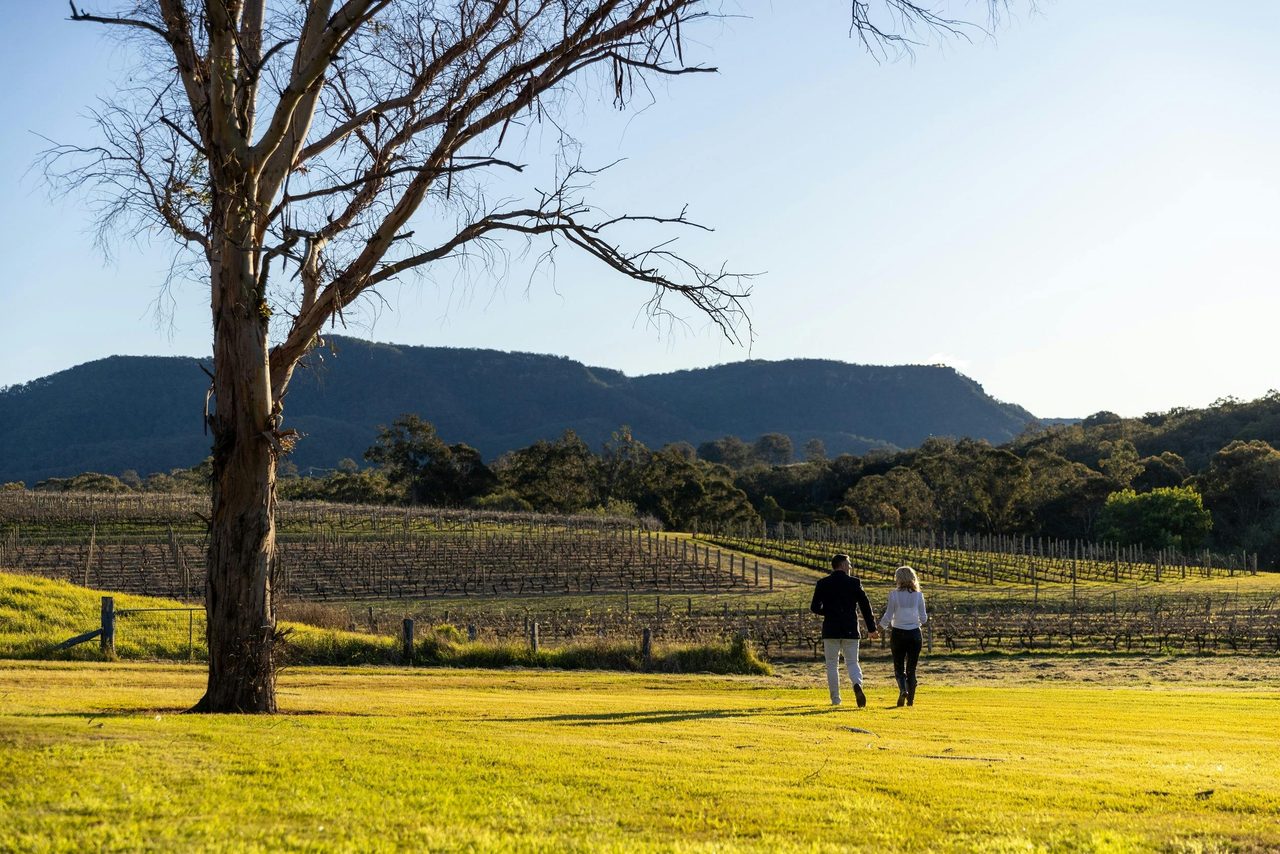 Pooles Rock vineyard