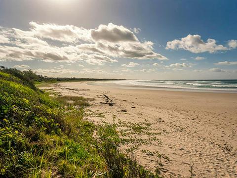 Brunswick Heads Nature Reserve