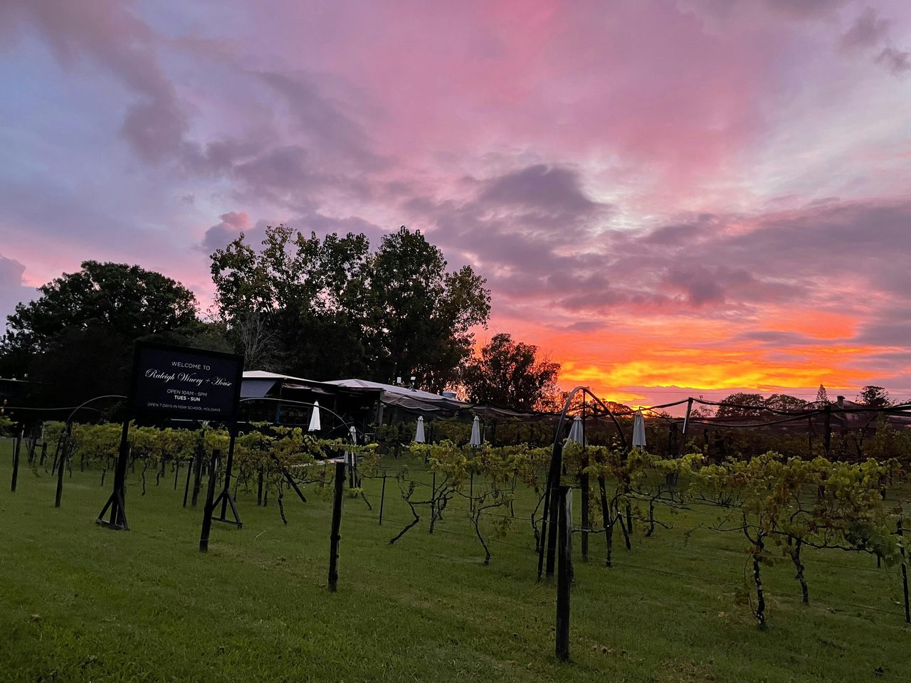 Autumn Sunrise at the Raleigh Winery Cafe
