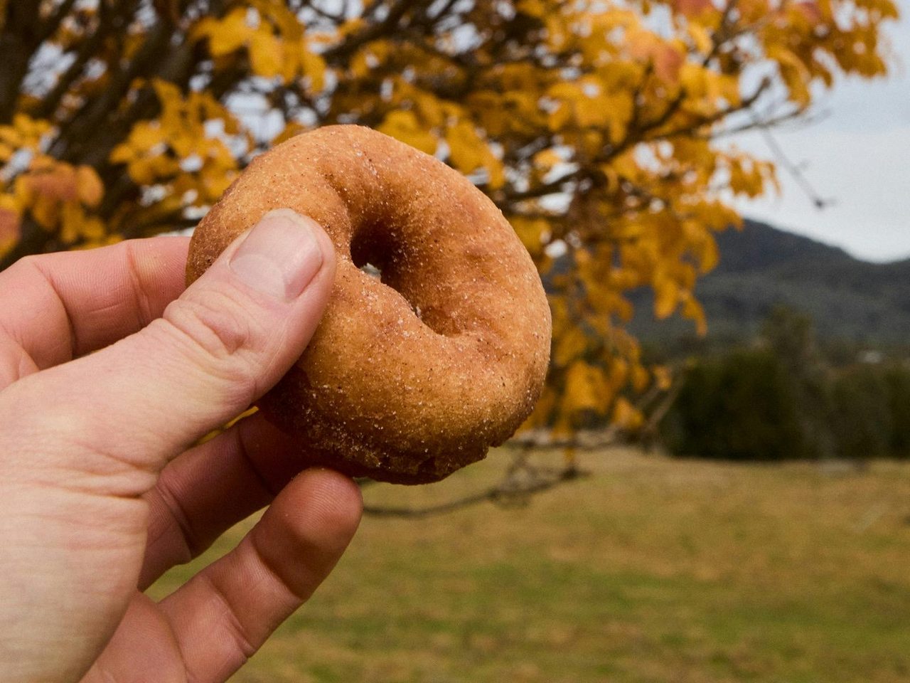 Hot Cinnamon Doughnut