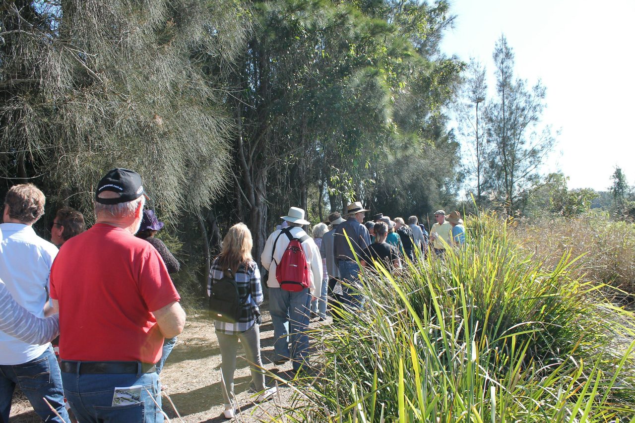 Walkway  around the bird hide