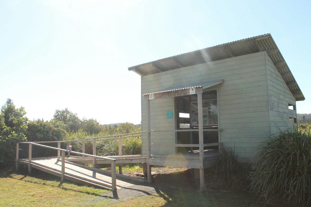 Bird Hide