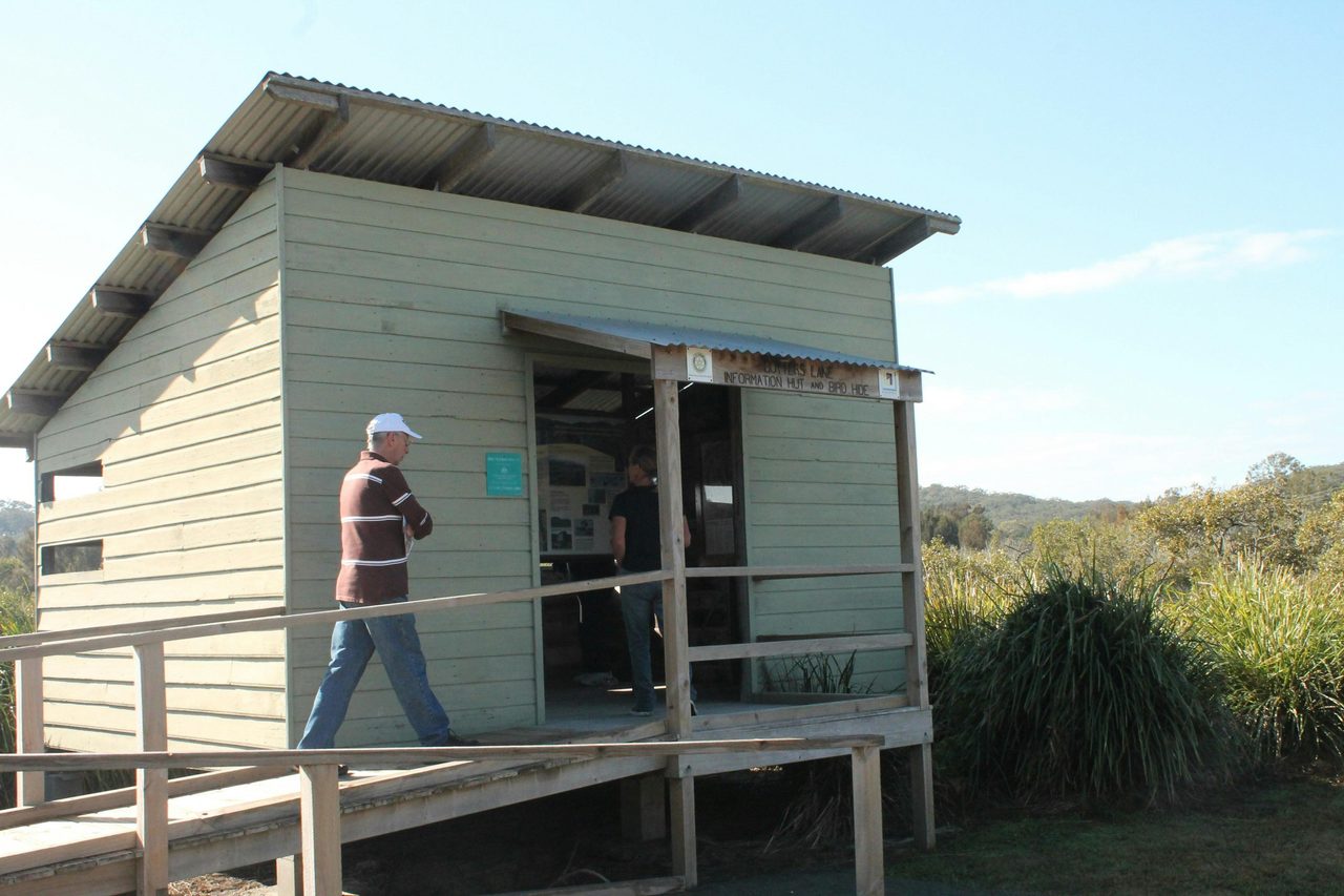 Bird Hide