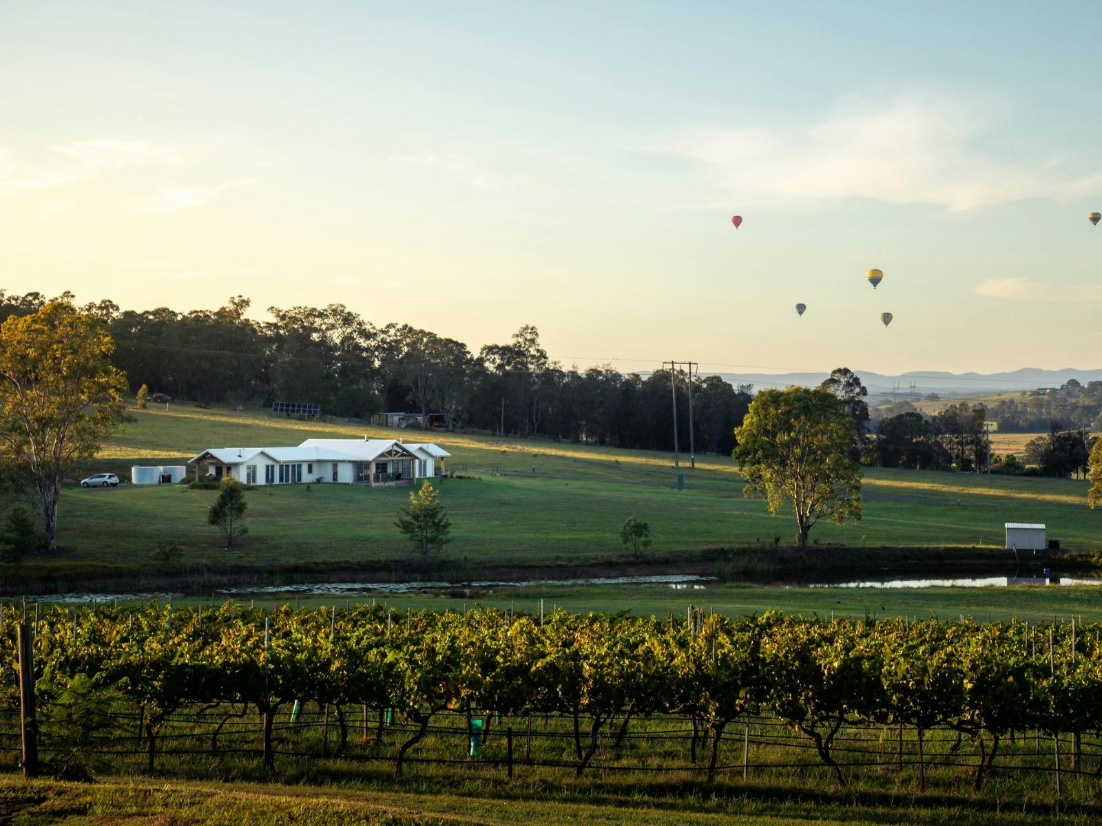 Molly Morgan Wines Villas overlooking vineyard