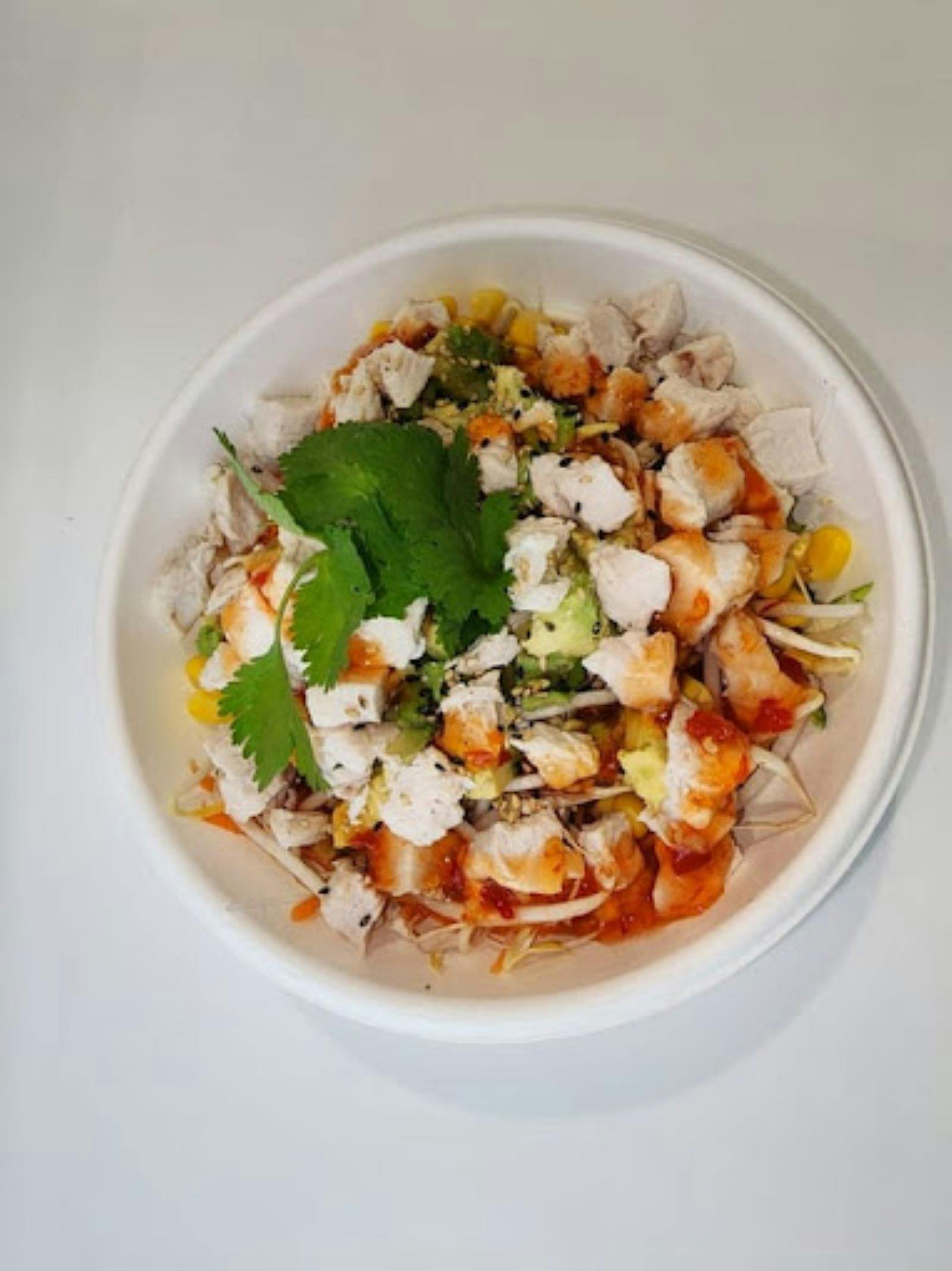 Plate of chicken and vegetble