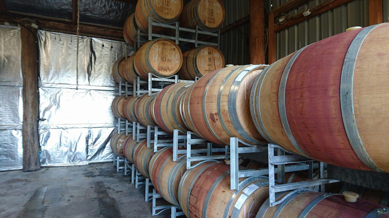 2016 red wines maturing in barrel at Murrumbateman Winery