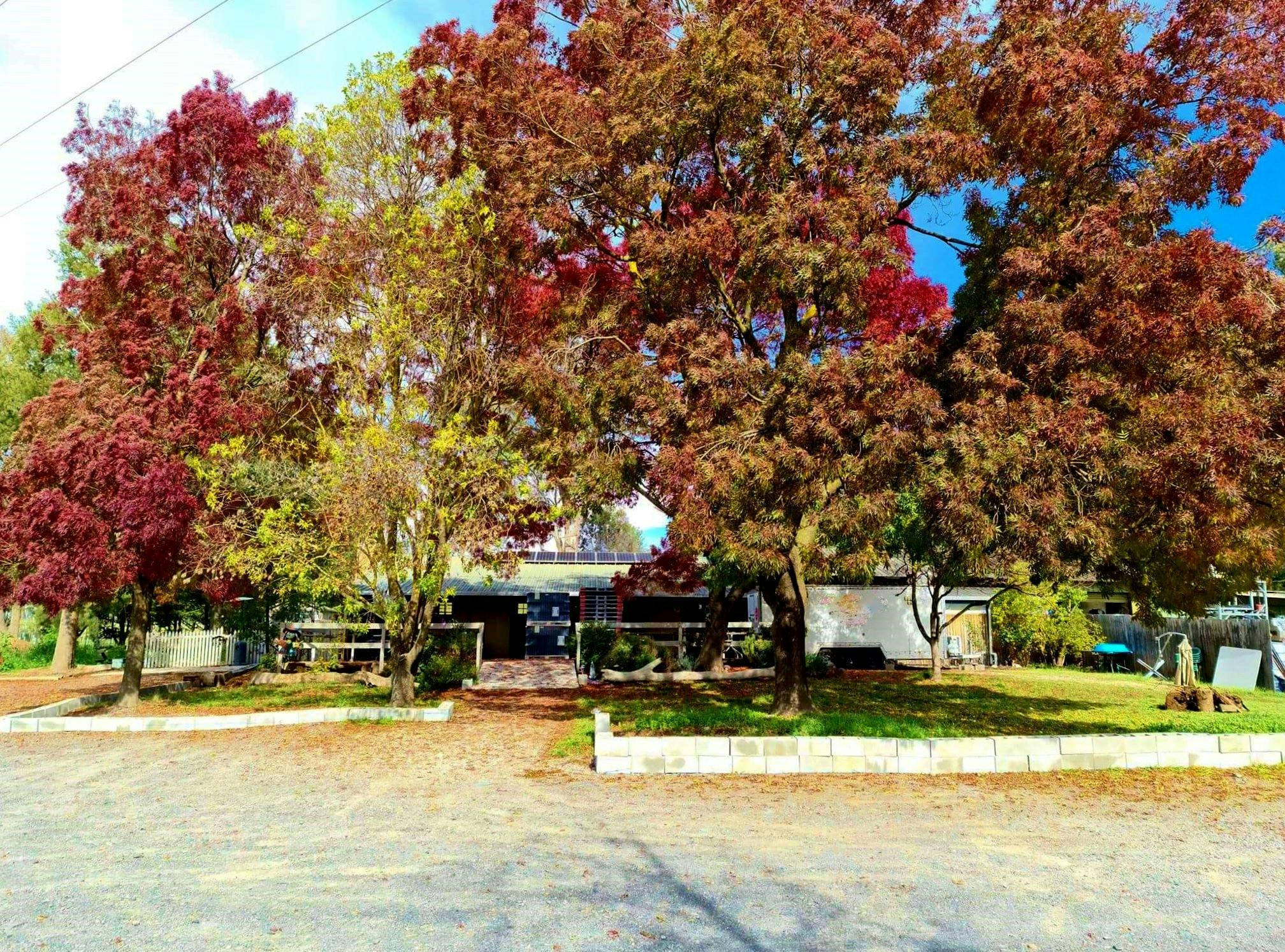 Cellar door in Autumn