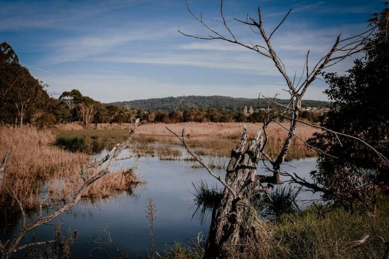 Panboola Wetlands
