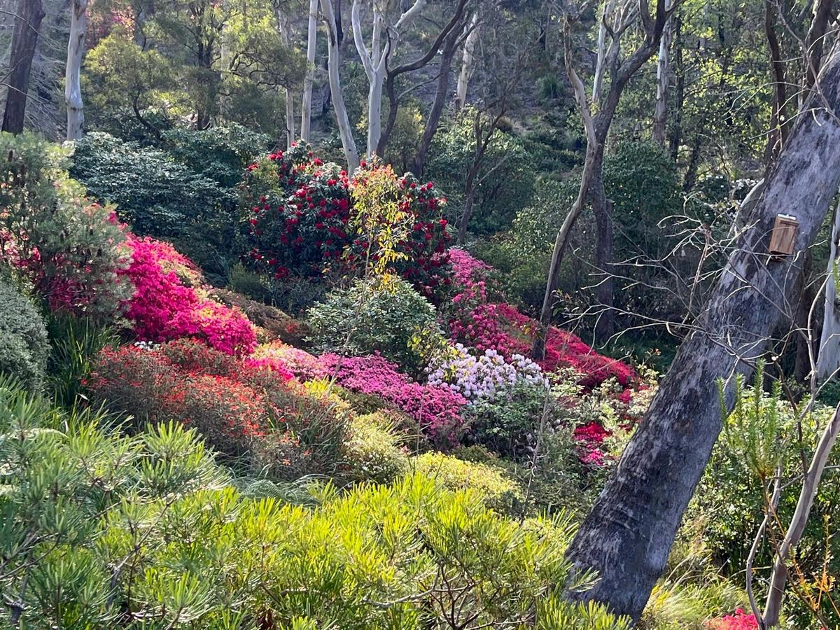 Hillside of rhodos