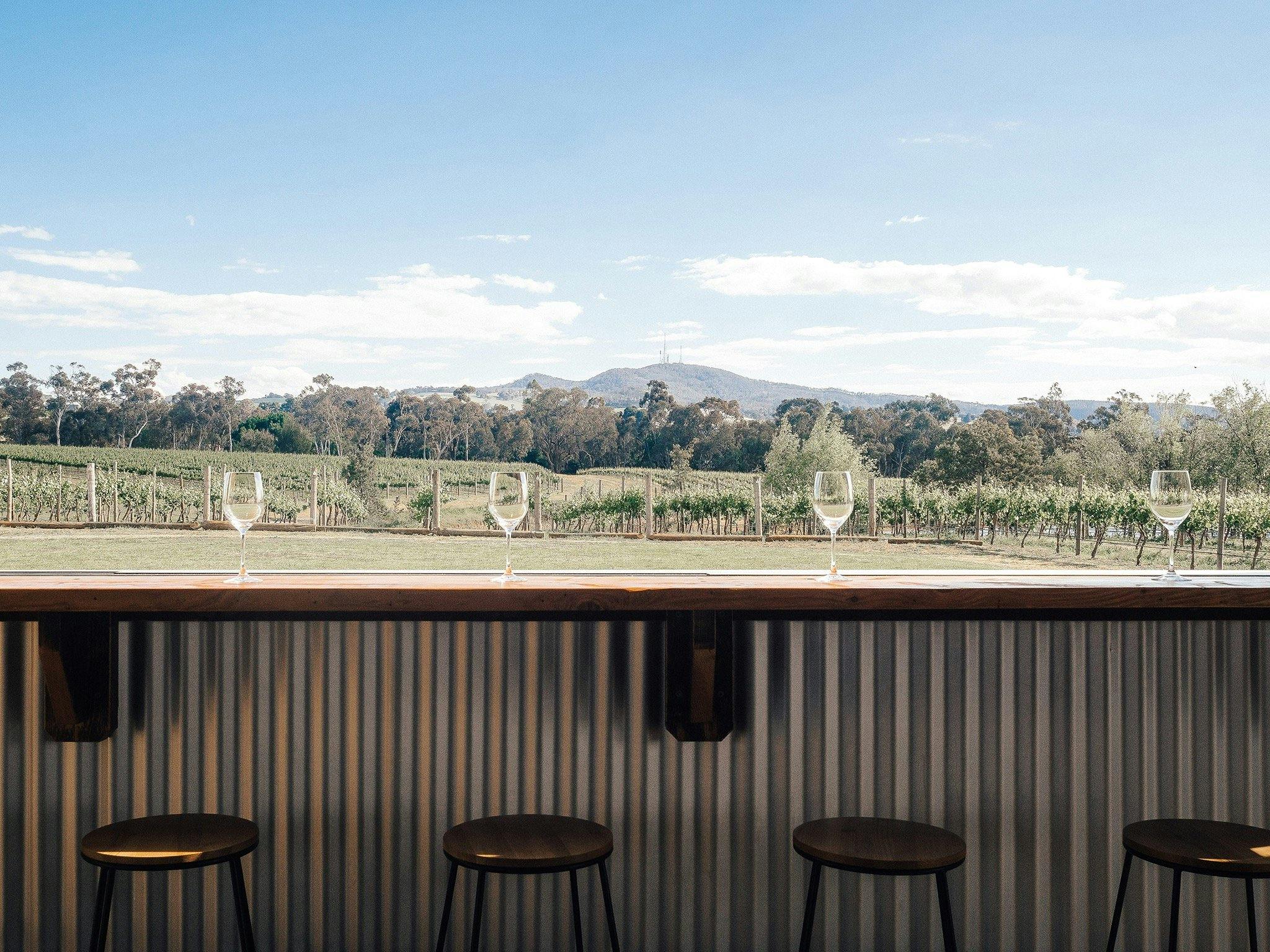 Stunning views across the vineyard