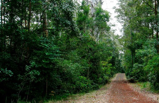 Cambridge Plateau Scenic Drive