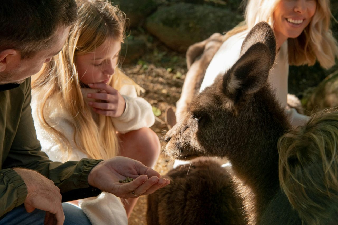 Byron Bay Wildlife Sanctuary