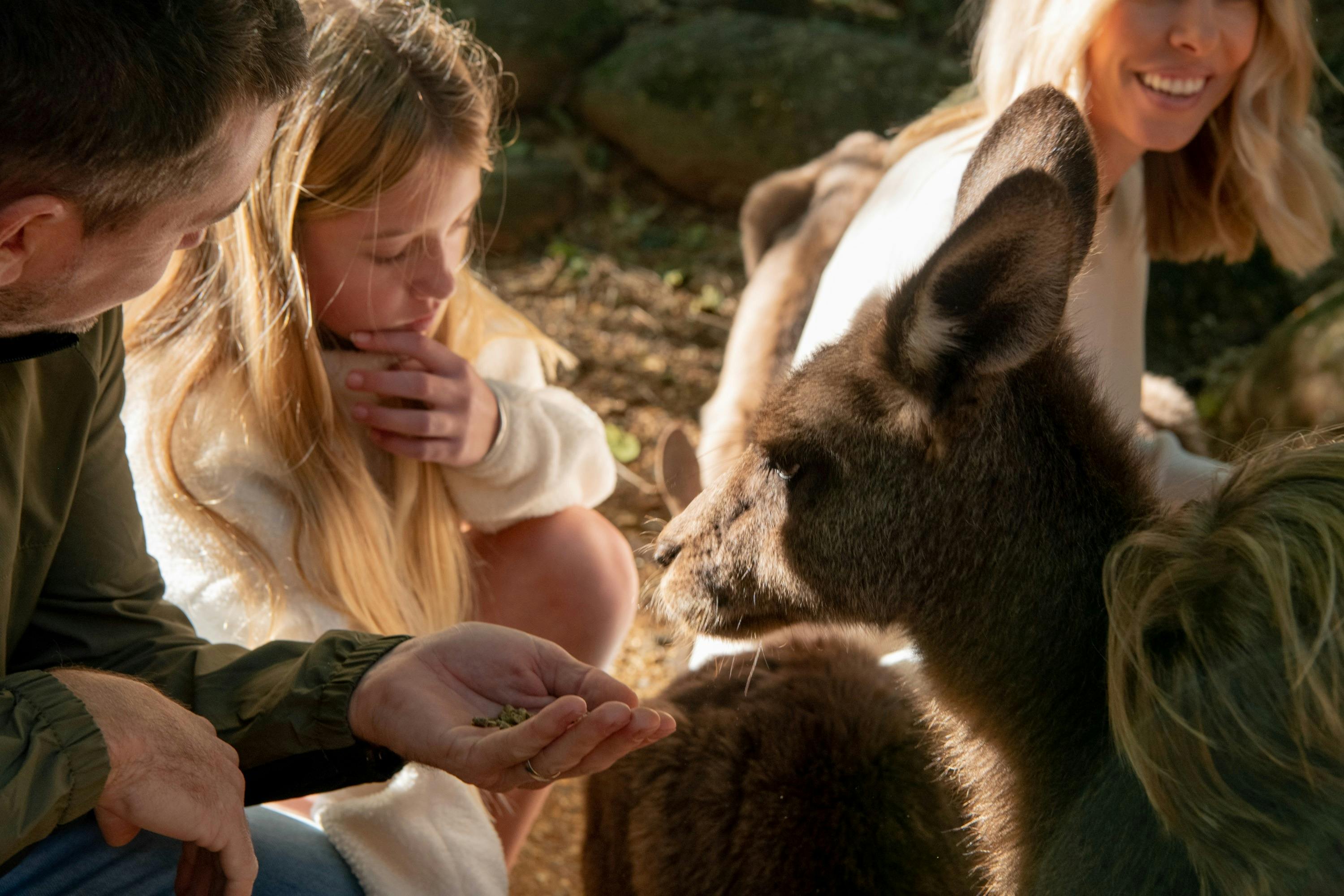 Byron Bay Wildlife Sanctuary