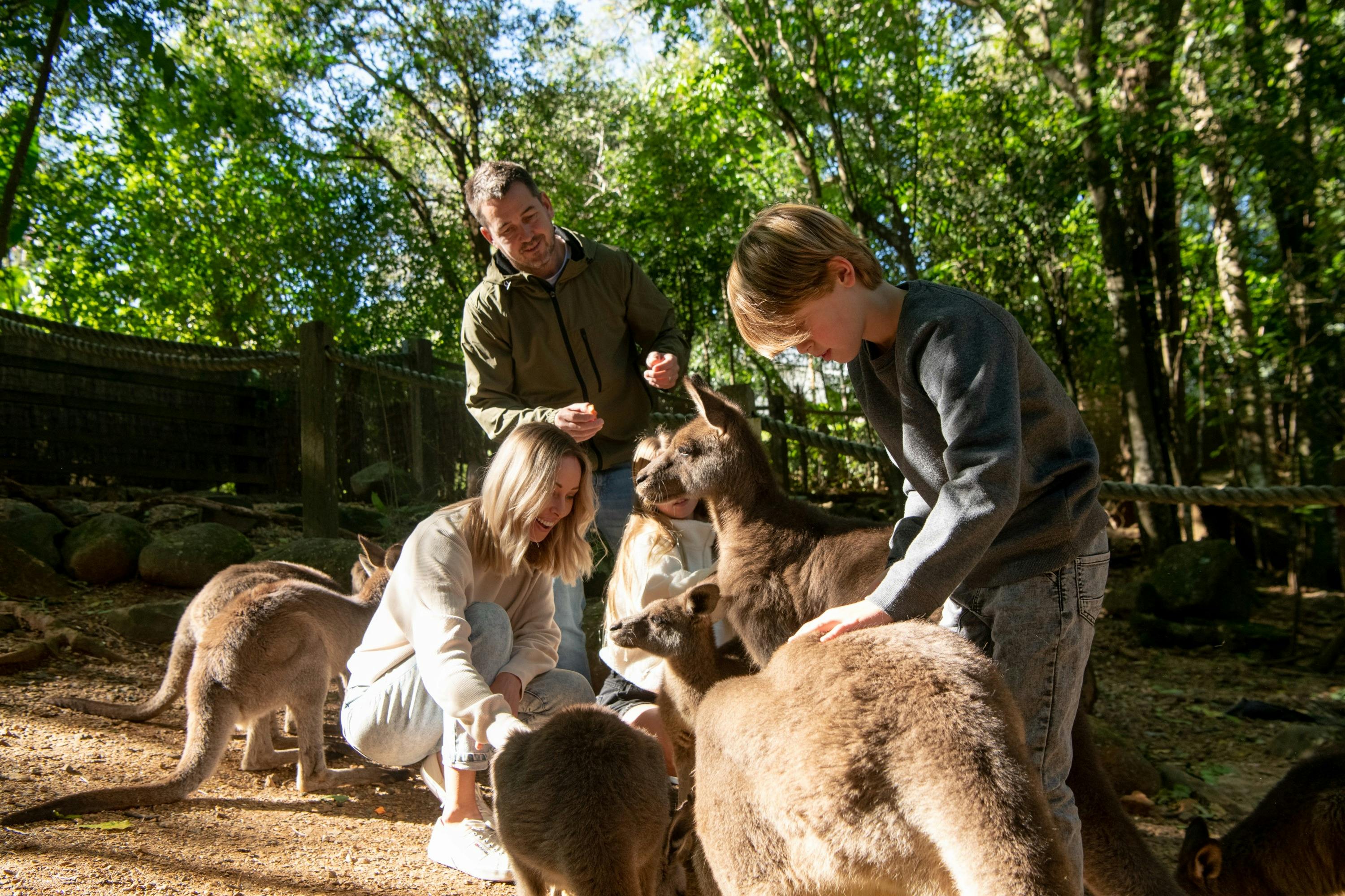 Byron Bay Wildlife Sanctuary