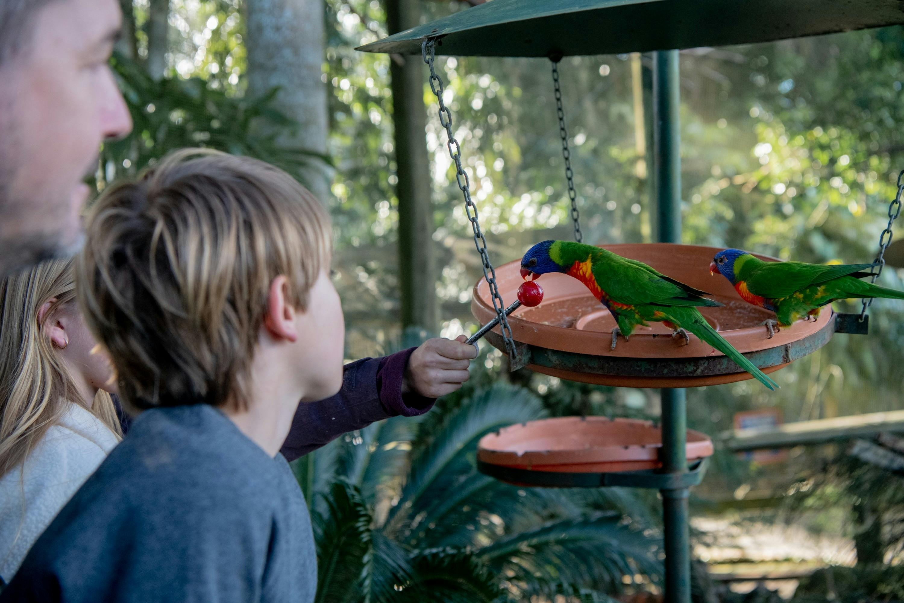 Byron Bay Wildlife Sanctuary