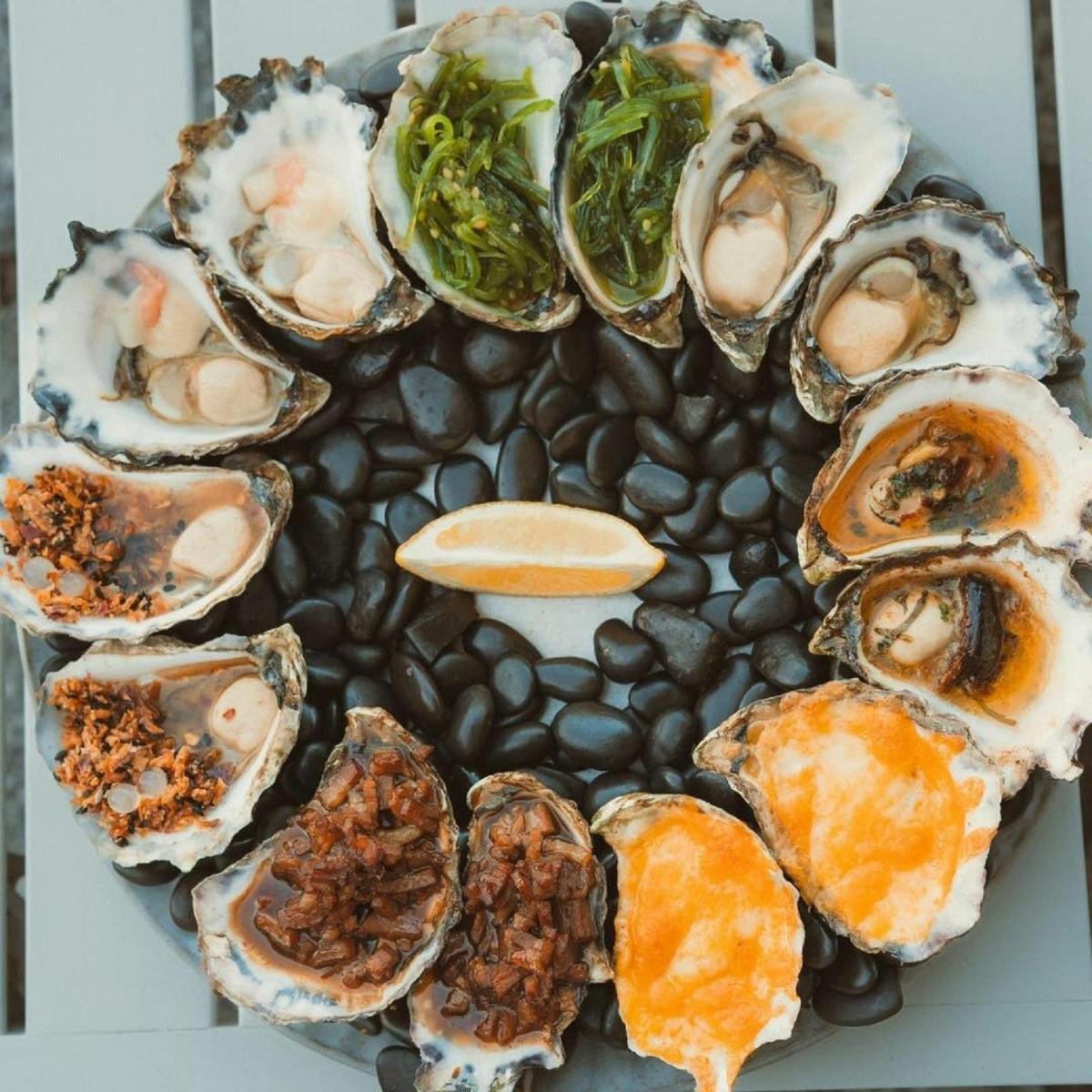 oysters