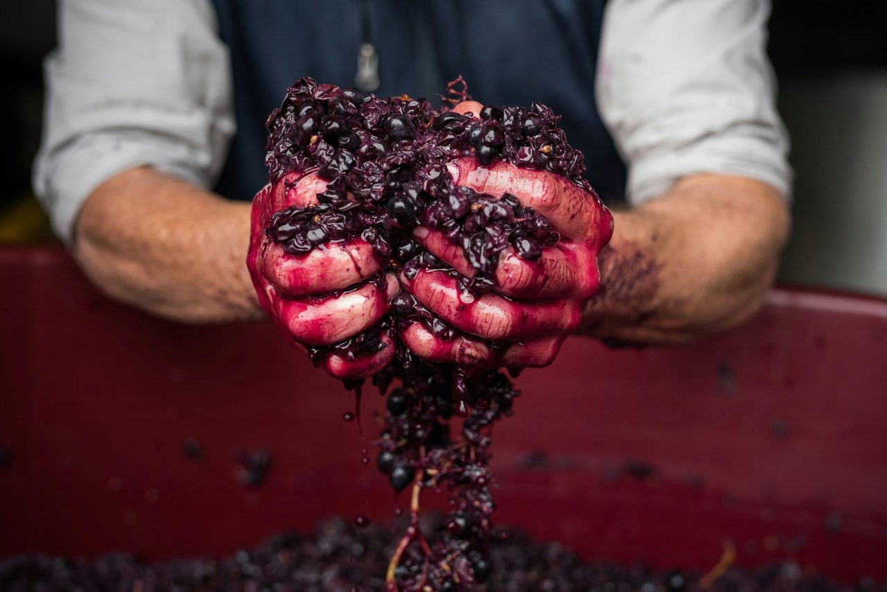 Passion for winemaking is evident in every bottle
