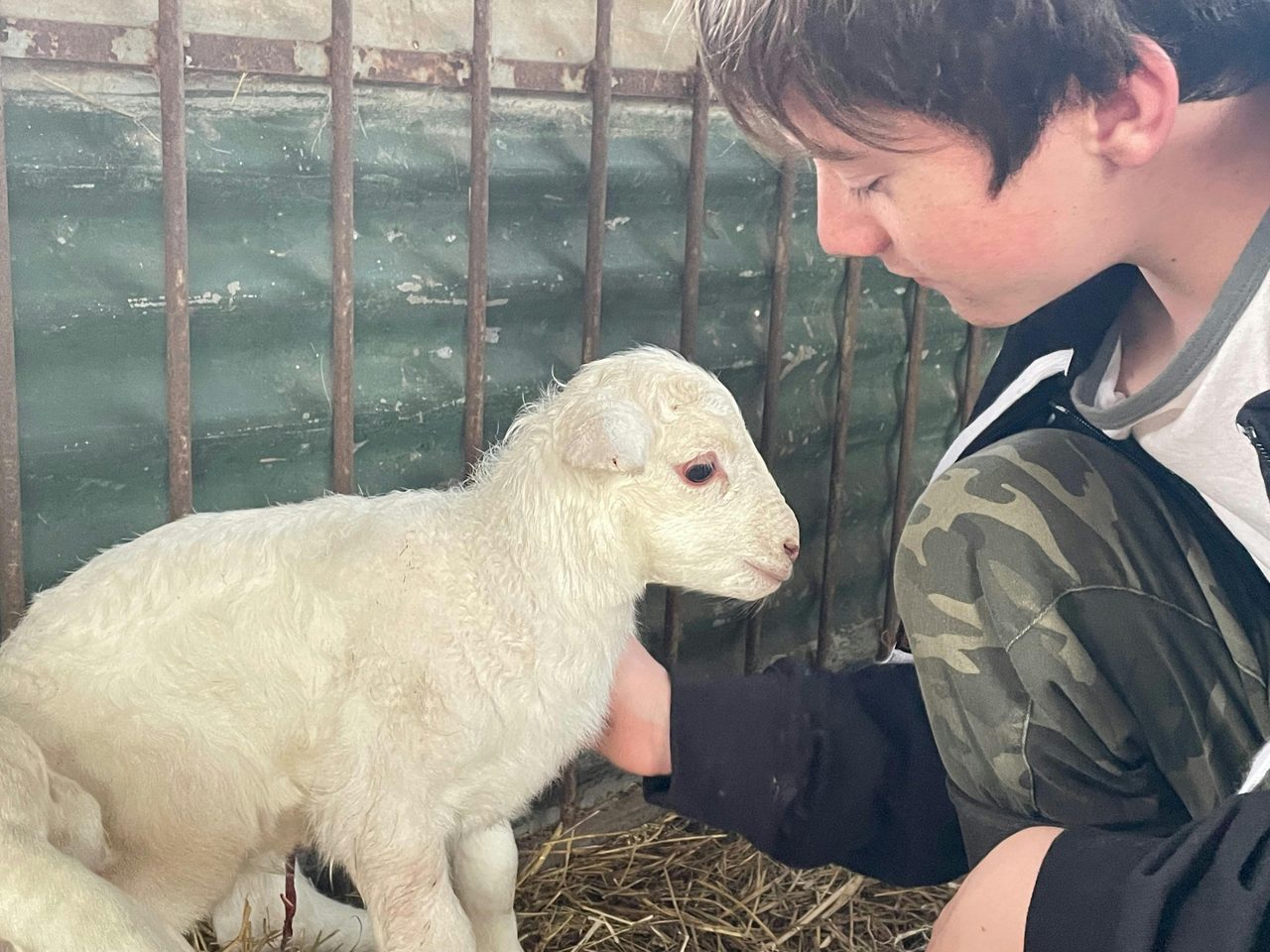 New life on the farm is always a celebration