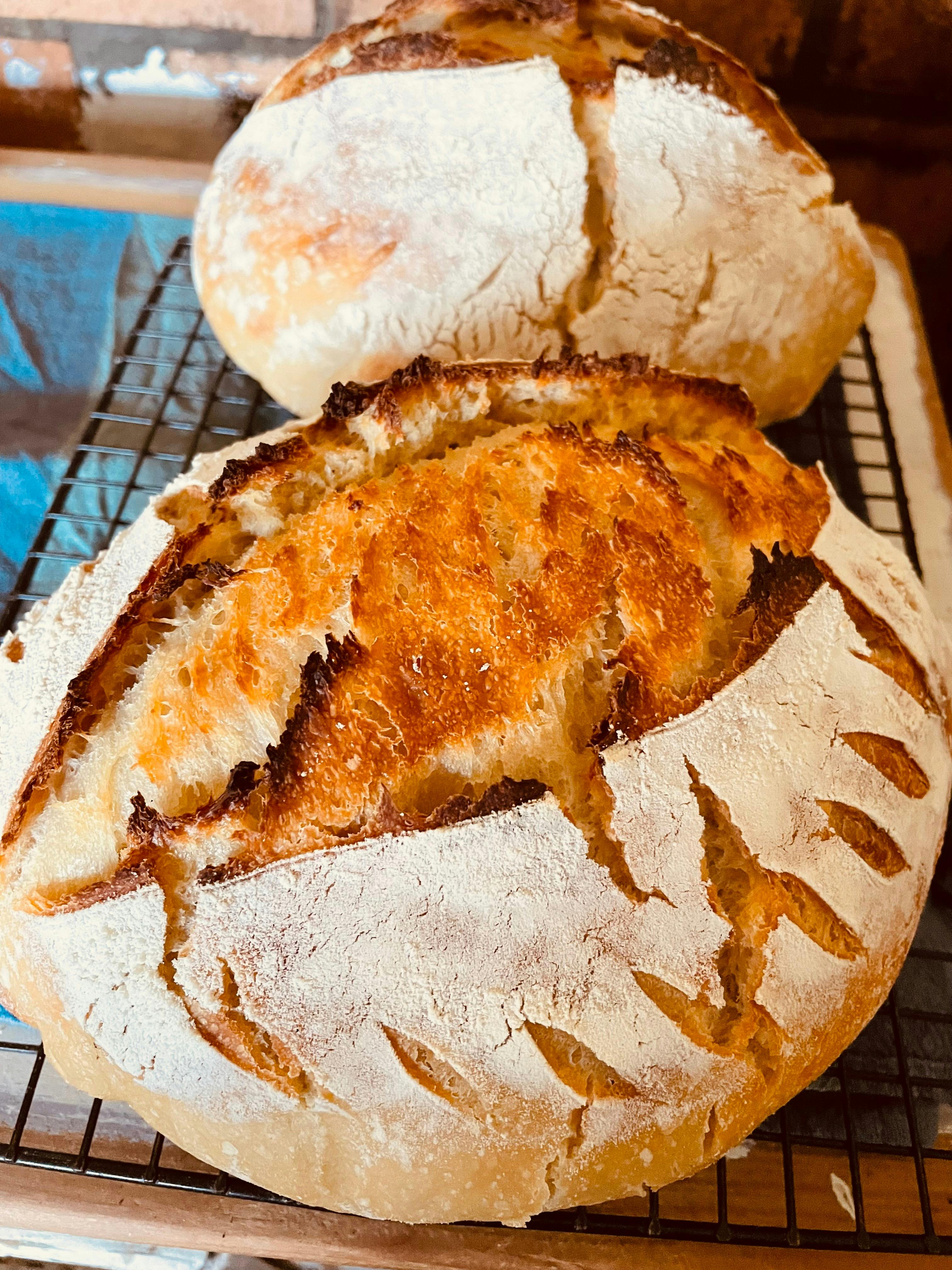 Fresh baked sourdough