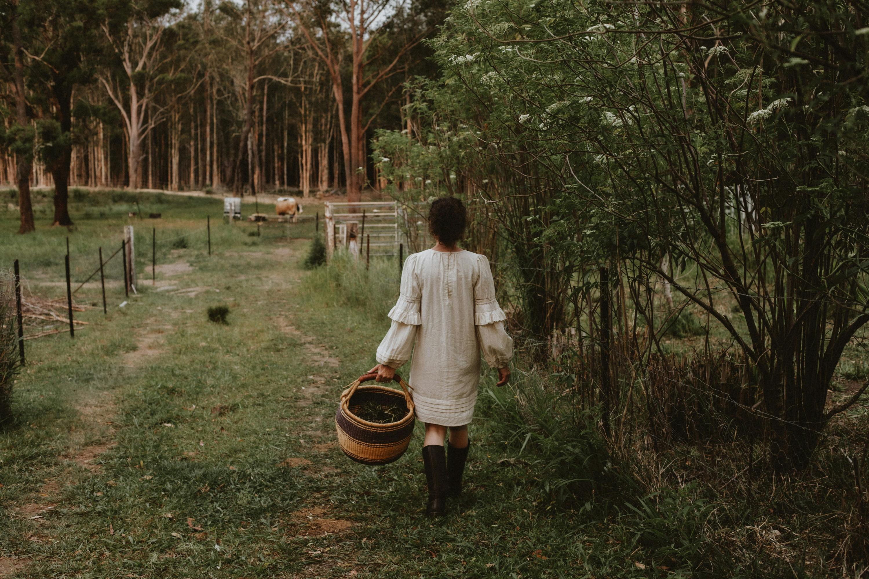 Morning harvest walk