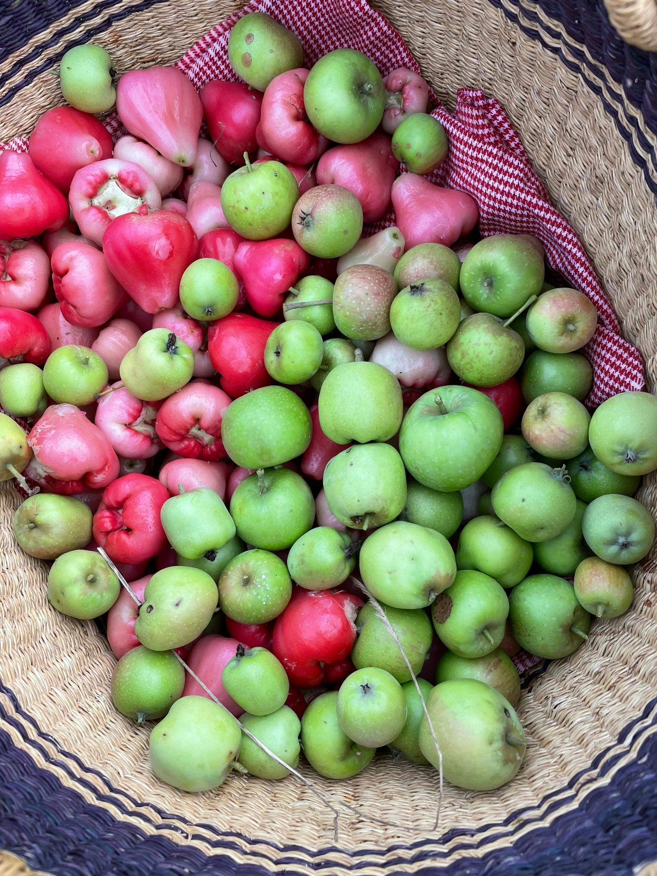 Gathered fruit