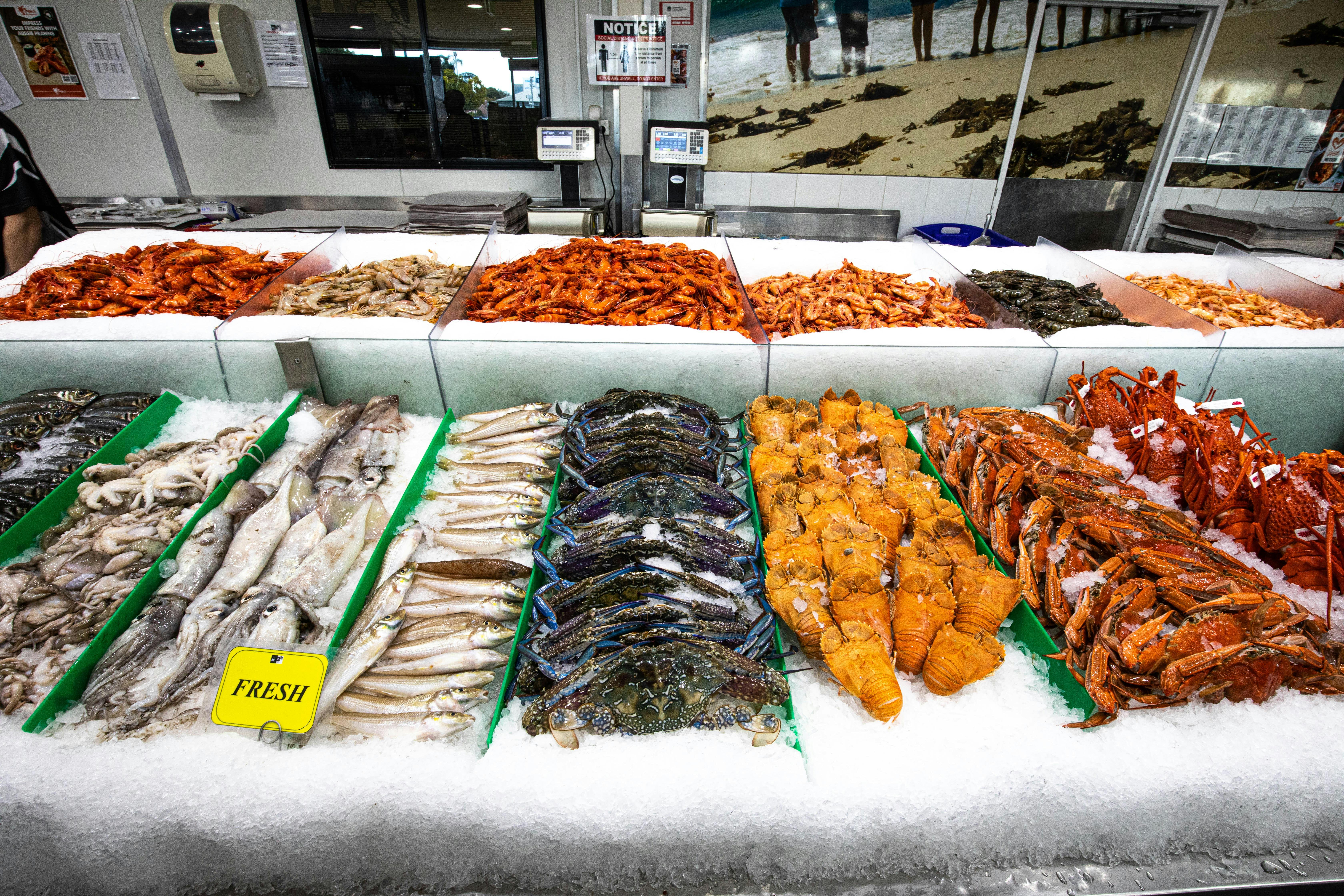 Seafood Counter
