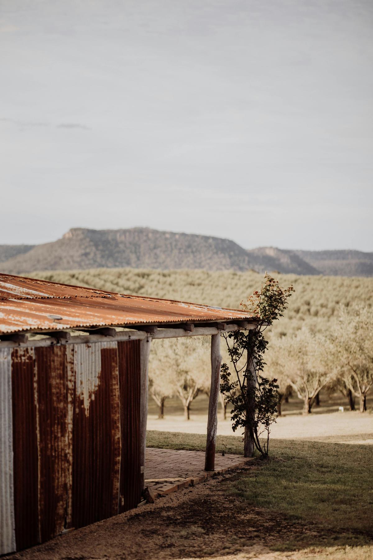 Rylstone Olive Press