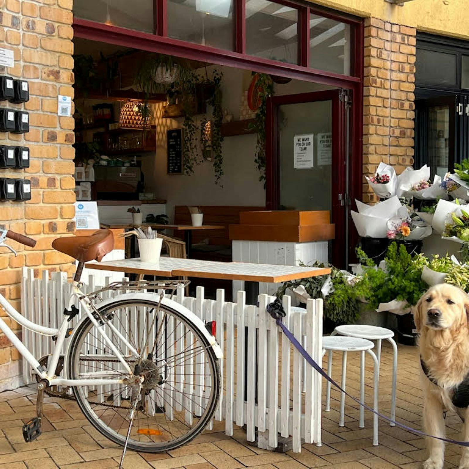 Papaya cafe Lennox head