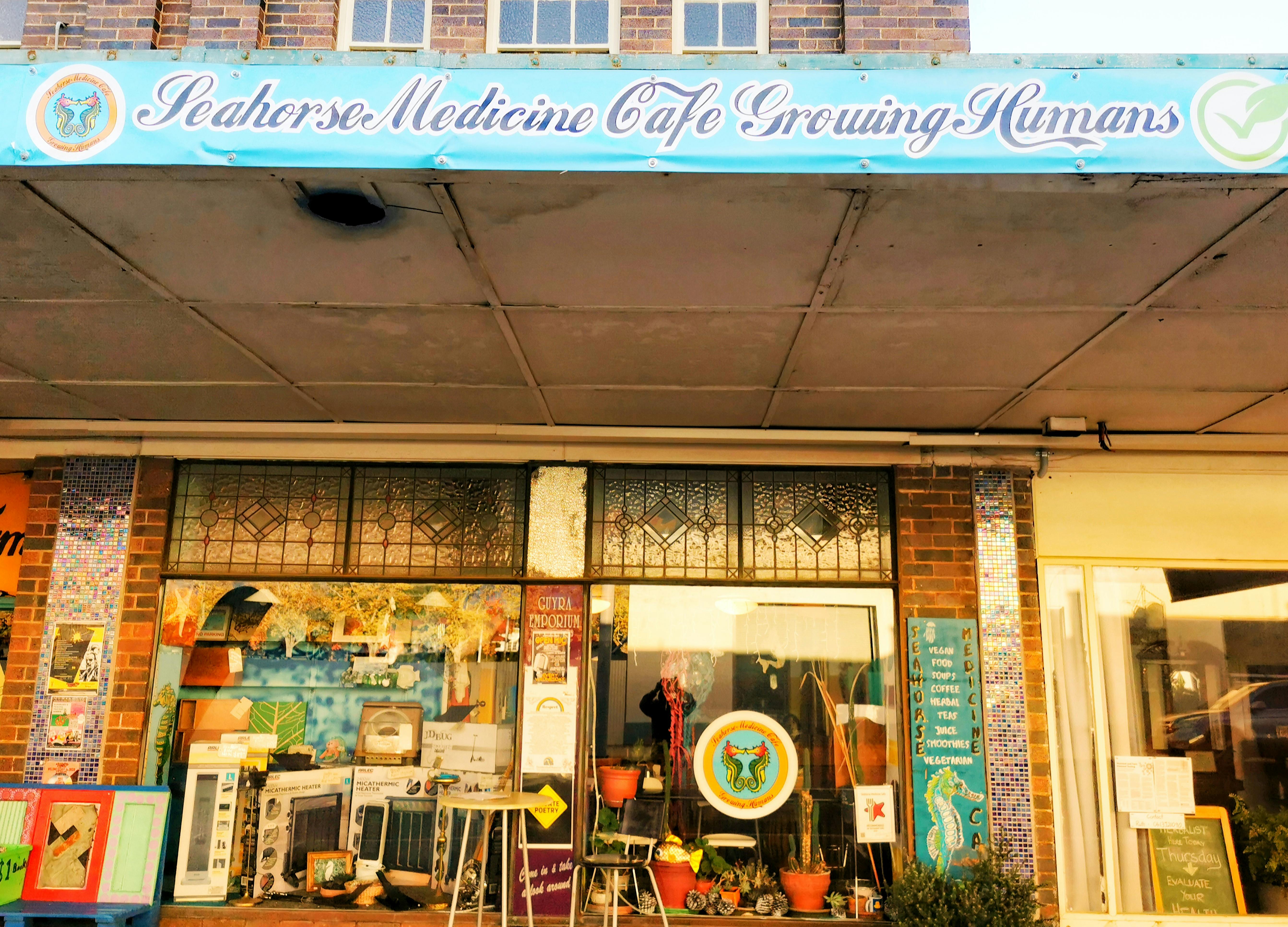 Seahorse Medicine Cafe window