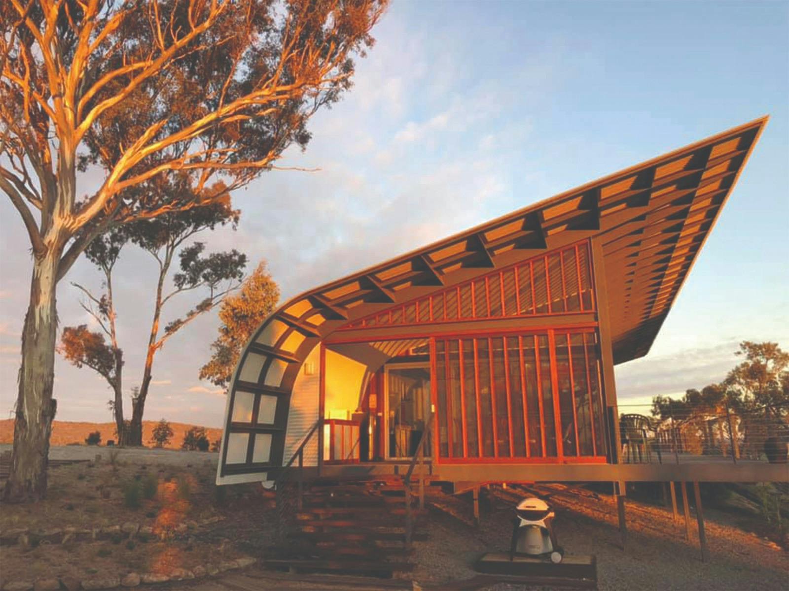 Rock Forest Vineyard