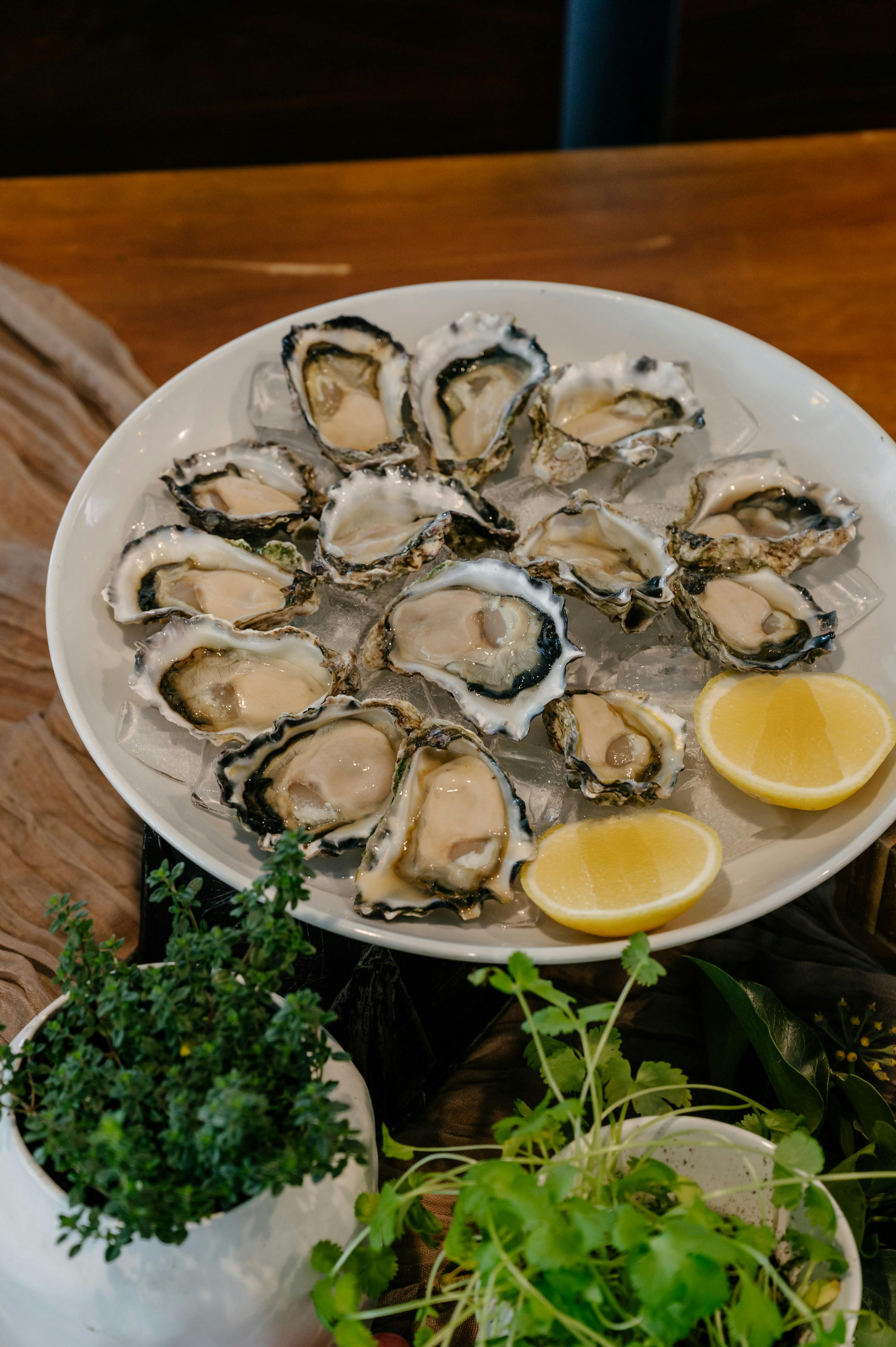 Fresh Local Oysters
