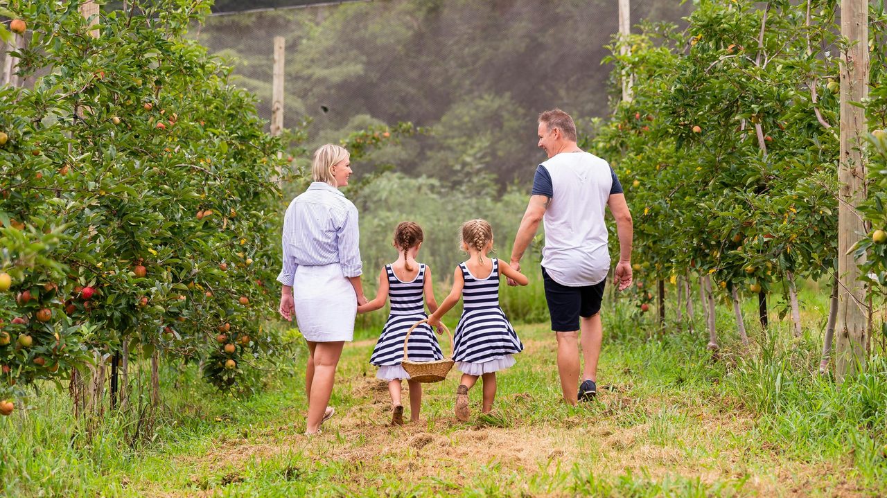 Pine Crest Orchard, Bilpin