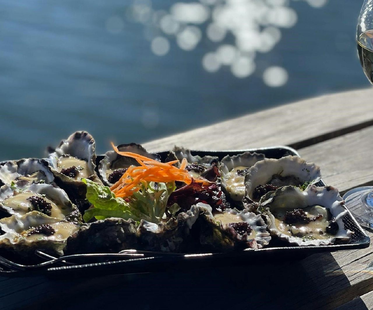 oysters