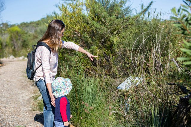 Booderee National Park: Telegraph Creek Nature Trail