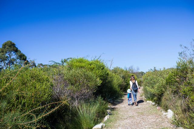 Booderee National Park: Telegraph Creek Nature Trail