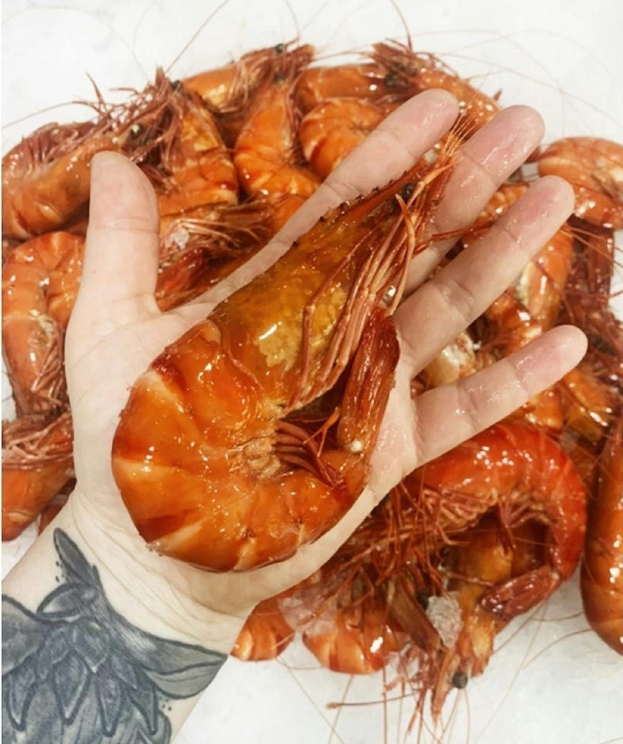 prawn