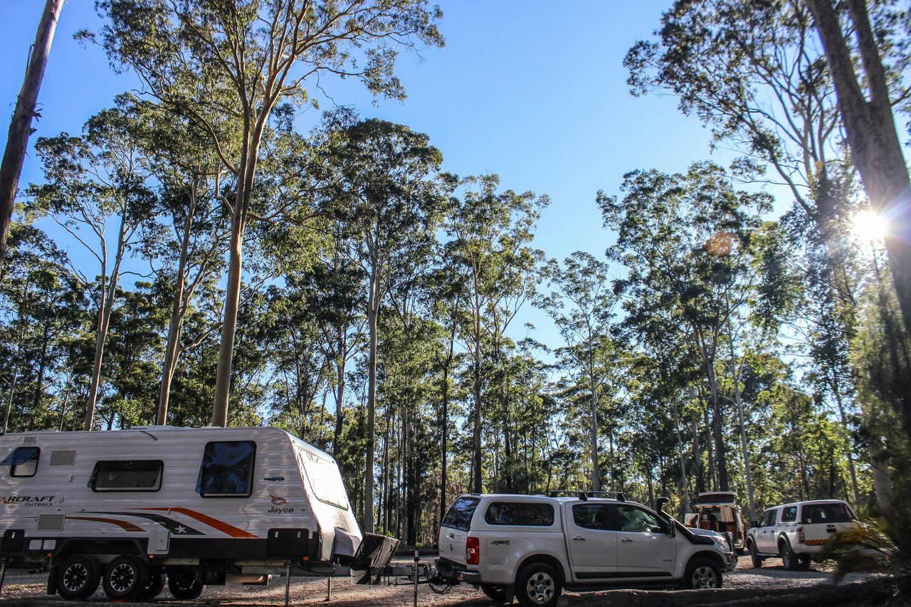 Caravans and campervans are welcome at Bodalla Forest Rest ARea